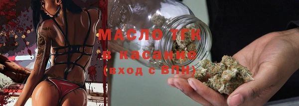индика Арсеньев