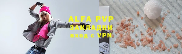 индика Арсеньев