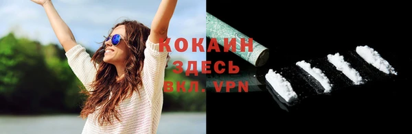 индика Арсеньев