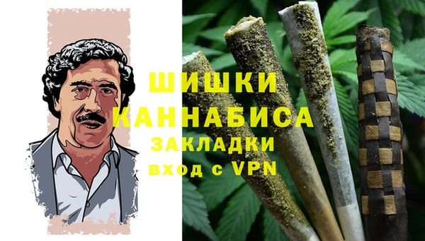 индика Арсеньев