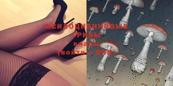 apvp Армянск