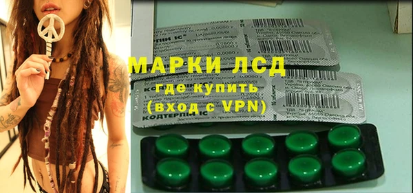 индика Арсеньев