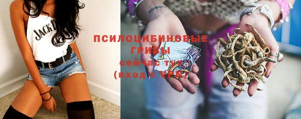 амф Аркадак