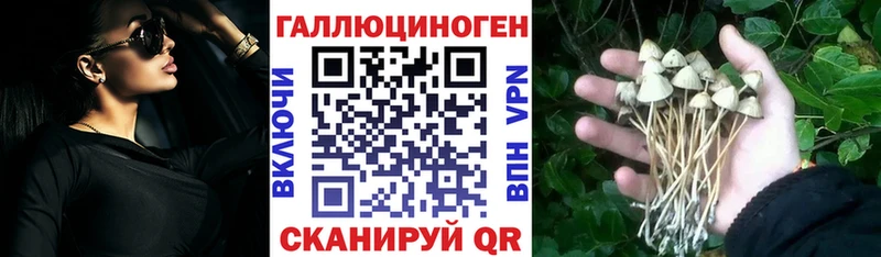 Галлюциногенные грибы Psilocybe KRAKEN Аша